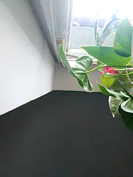 Snapshot of Czarnoksieznik chatting on November 2, 12:07 pm Czarnoksieznik online show from November 2, 12:07 pm