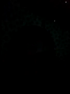 Snapshot of UntidyGuar chatting on November 4, 3:16 am UntidyGuar online show from November 4, 3:16 am