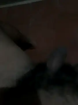 Snapshot of PhlegmySewerage chatting on October 11, 1:16 am PhlegmySewerage online show from October 11, 1:16 am