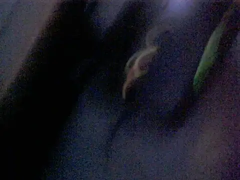 Dotadobelempa online show from January 16, 4:38 am