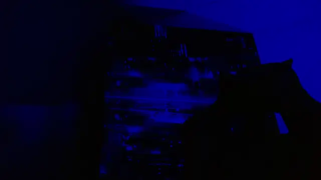 alexgiraldo   online show from May 27, 6:49 pm