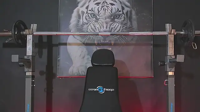 DimitriDeluxe online show from December 3, 7:45 pm