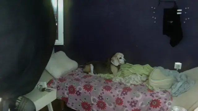 turkishTransEfsun online show from September 13, 1:11 pm