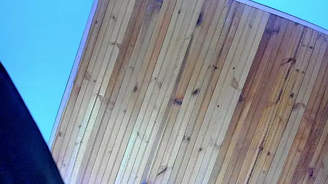 Angel kanon online show from February 28, 12:28 pm