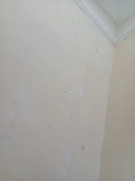 Sondosa3 online show from October 5, 9:02 pm