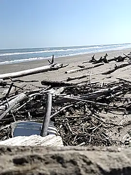 pegaso369 online show from March 28, 11:10 am