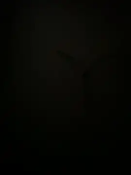 succy33 online show from October 7, 4:59 pm