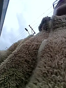 Engeelll online show from March 18, 6:11 pm