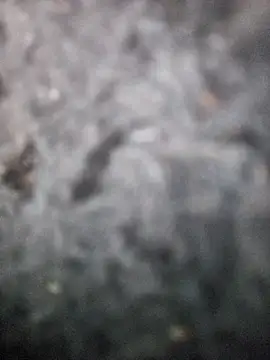 Snapshot of Romance32 chatting on November 3, 7:31 am Romance32 online show from November 3, 7:31 am