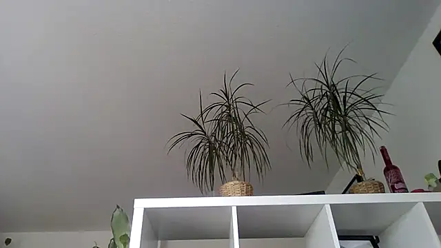 bigcockjohnxxxxx online show from November 13, 11:20 am