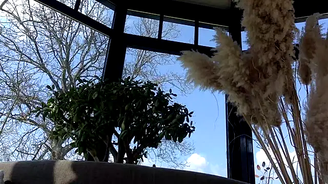 3615-ULLA online show from March 22, 11:57 am