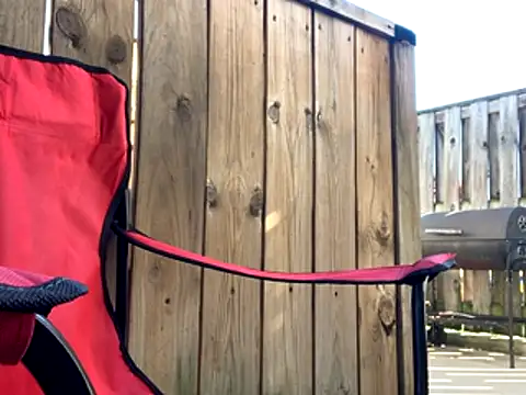 Insurance-03 online show from October 26, 4:13 pm