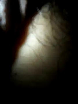 luislimafuego online show from October 4, 10:24 am