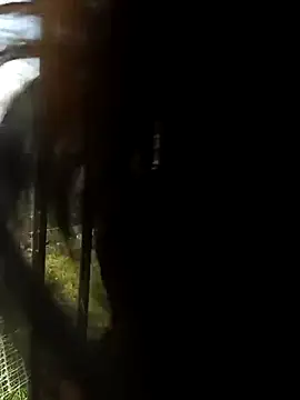 Vikyvoyeur online show from February 18, 6:15 pm