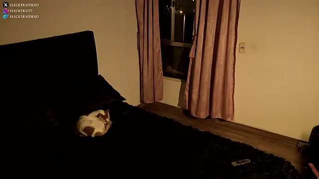 alexxatokyo online show from October 26, 8:42 am