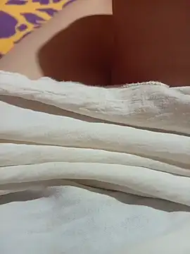 NoHA 66 online show from November 2, 6:27 am