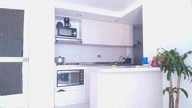 Something pork4 online show from November 30, 8:46 pm