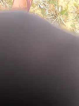 rajdehli online show from April 1, 9:10 am