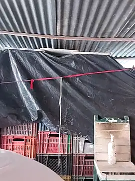 hoteder online show from February 23, 2:47 pm