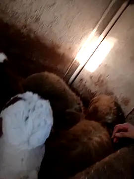 ezgi2545 online show from February 20, 2:39 pm