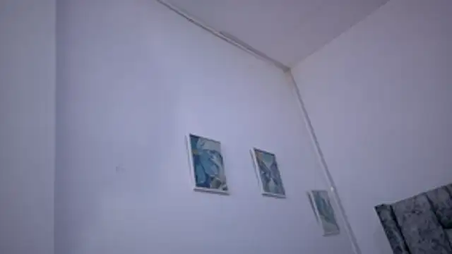 Lizbeth Rouse online show from November 16, 12:55 pm