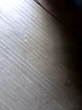 liza-212 online show from October 10, 9:41 am