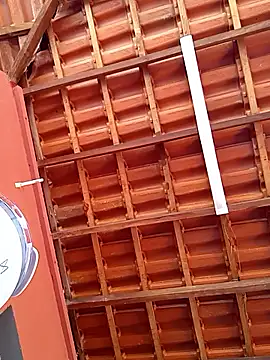 RaphinhaSanches online show from November 7, 1:00 pm