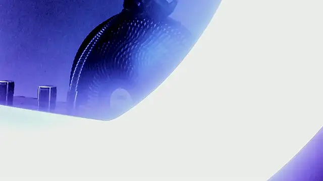 bell popperr  online show from October 3, 11:29 am