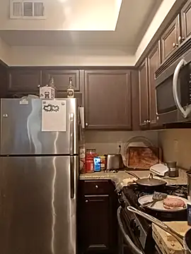 Snapshot of PremiumKitty chatting on February 20, 10:27 am PremiumKitty online show from February 20, 10:27 am