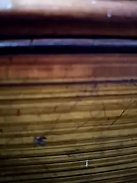 Shruti Bhabhi38 online show from November 1, 5:59 pm