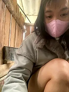 PhanHaa online show from January 16, 2:04 am