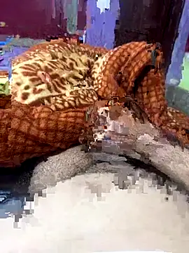 Snapshot of Rupkumarmaleforfun chatting on December 18, 2:34 pm Rupkumarmaleforfun online show from December 18, 2:34 pm