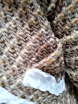 Sinejdk3 online show from January 7, 12:24 am