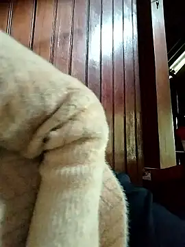 Sinejdk3 online show from January 19, 9:46 am