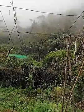 quynhkoolbae online show from March 11, 3:12 am