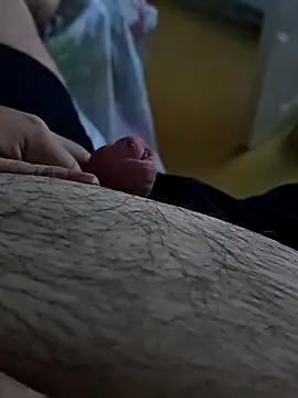 t-dog26 online show from October 7, 3:36 am