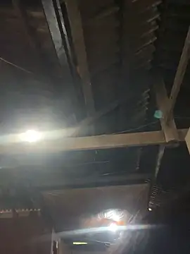 EmLy02 online show from April 16, 11:00 am