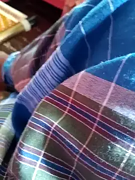 dolphiinn online show from November 23, 2:33 am