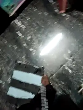 dolphiinn online show from December 4, 4:48 pm