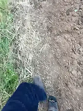 dolphiinn online show from February 14, 1:24 am