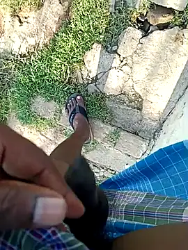 dolphiinn online show from April 12, 10:42 am