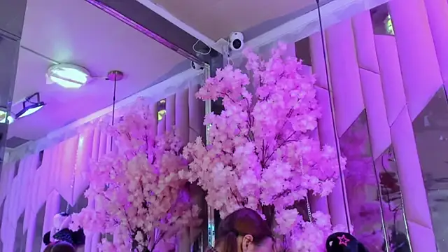 Snapshot of TessaCooper1 chatting on November 9, 9:46 pm TessaCooper1 online show from November 9, 9:46 pm