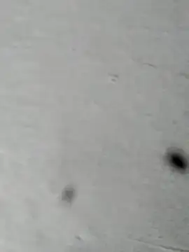 Mollysdick online show from April 16, 2:18 pm