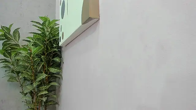 scarlett646 online show from December 2, 3:12 am