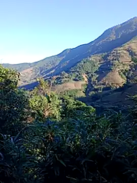 misa 00 online show from November 29, 1:08 am