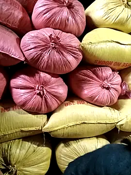 Sa2mh20 online show from February 11, 6:51 am