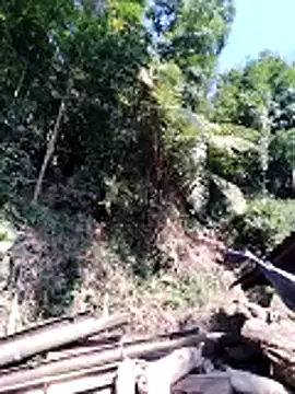 Snapshot of miss-su chatting on February 5, 7:46 am miss-su online show from February 5, 7:46 am