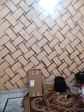 meenu bhabhi547 online show from February 25, 4:33 am