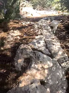 yocoooo online show from November 7, 11:43 am