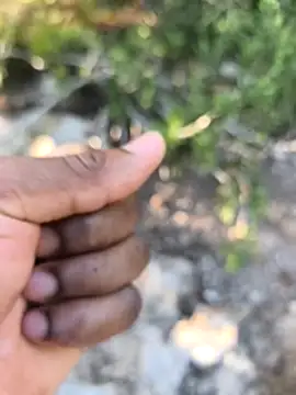 yocoooo online show from November 14, 3:33 pm